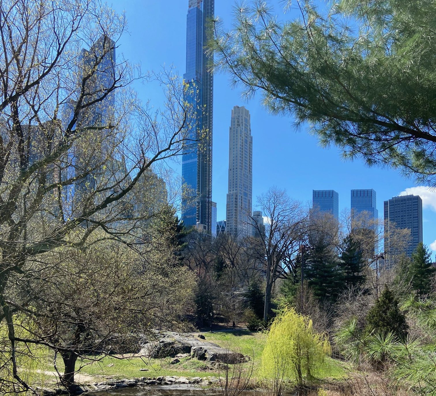Central Park trees and path in New York City