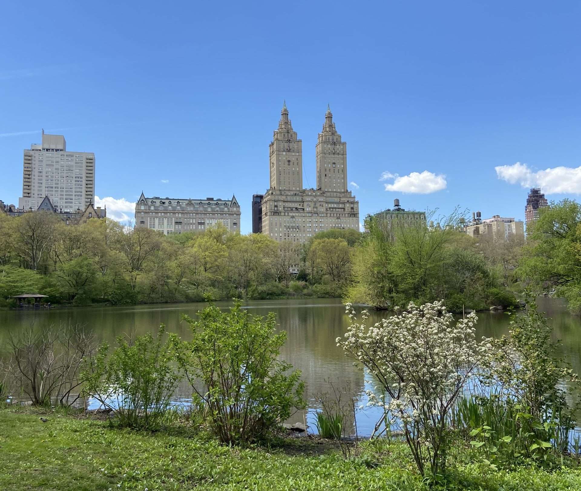 Central Park pond surrounded by trees in New York City